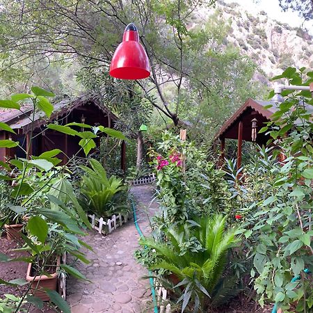 Canario Bungalows Çıralı Luaran gambar