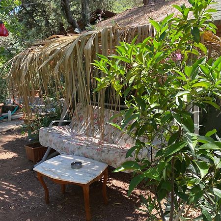 Canario Bungalows Çıralı Luaran gambar