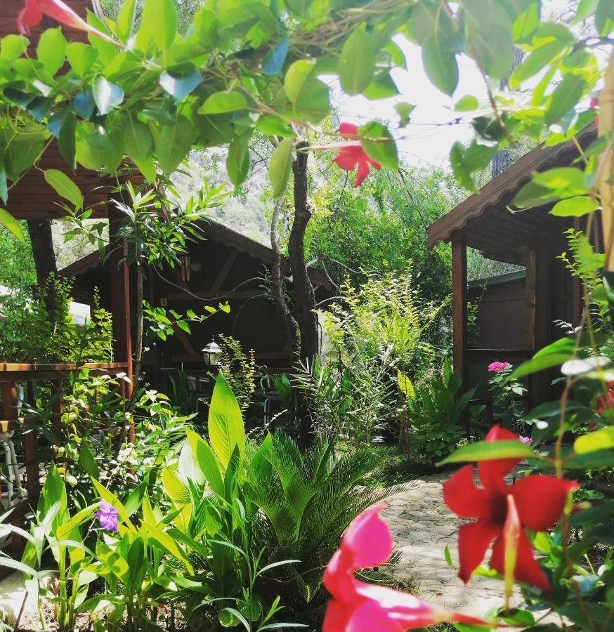 Canario Bungalows Çıralı Luaran gambar