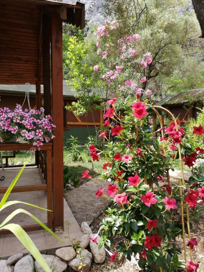 Canario Bungalows Çıralı Luaran gambar