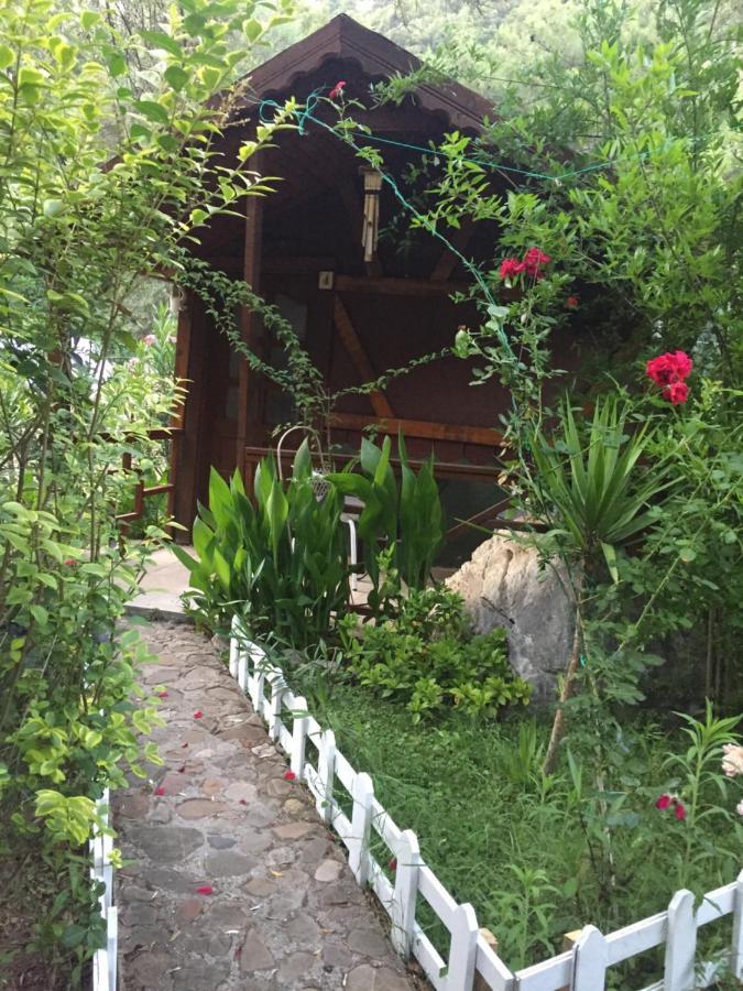 Canario Bungalows Çıralı Luaran gambar