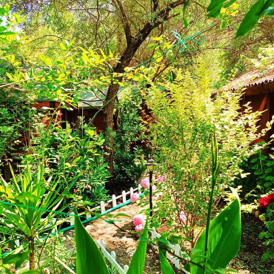 Canario Bungalows Çıralı Luaran gambar