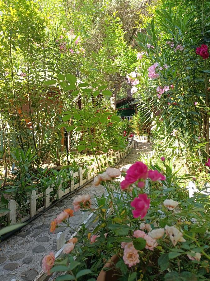 Canario Bungalows Çıralı Luaran gambar