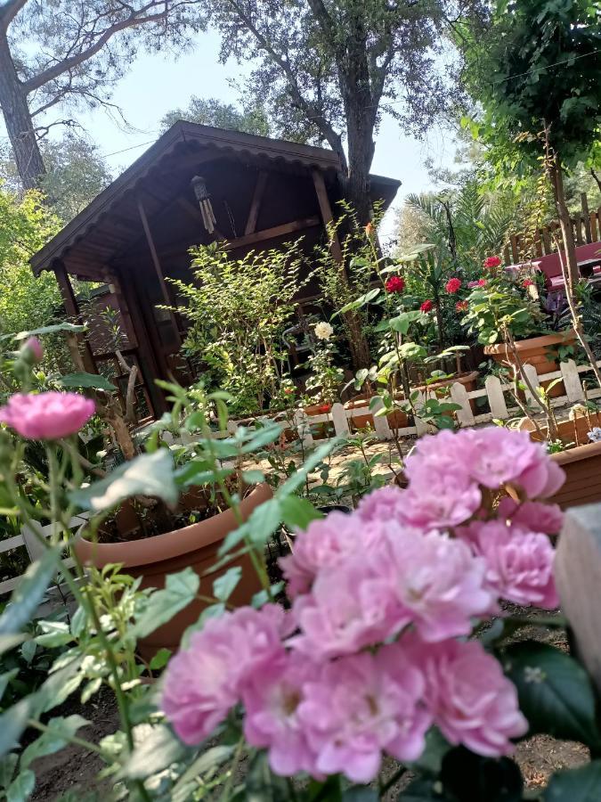 Canario Bungalows Çıralı Luaran gambar