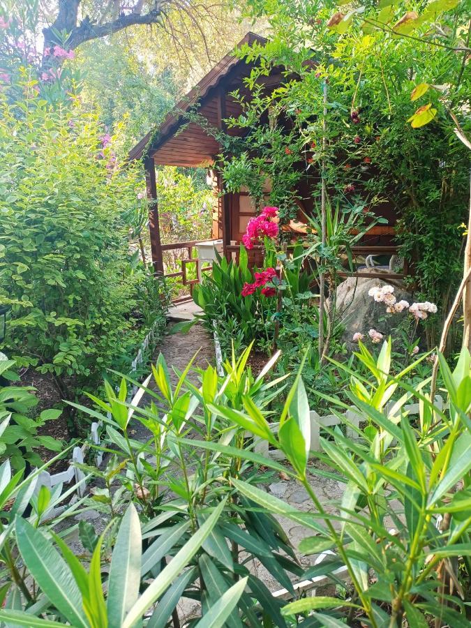 Canario Bungalows Çıralı Luaran gambar