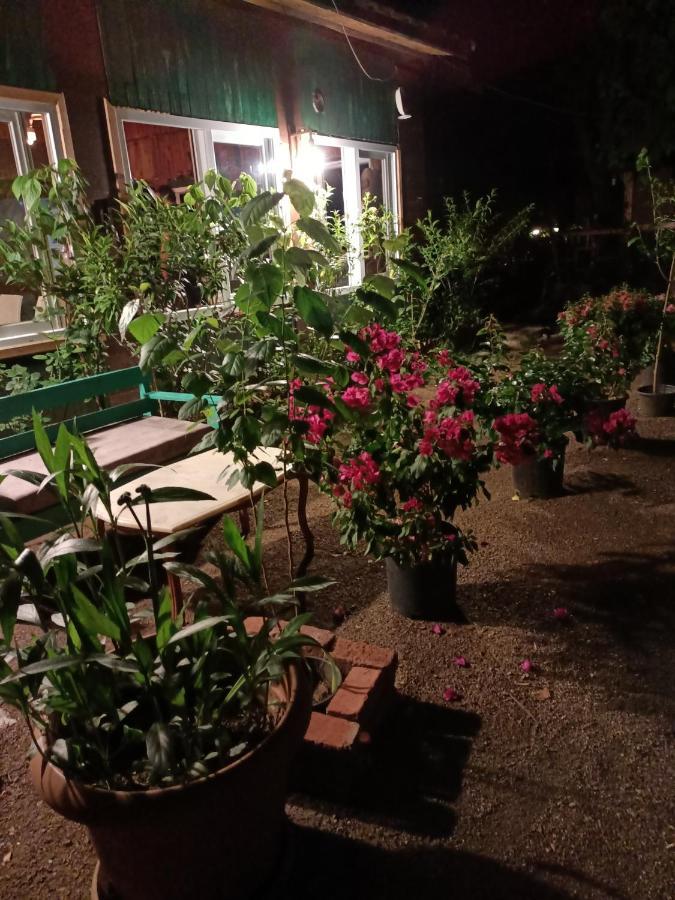 Canario Bungalows Çıralı Luaran gambar