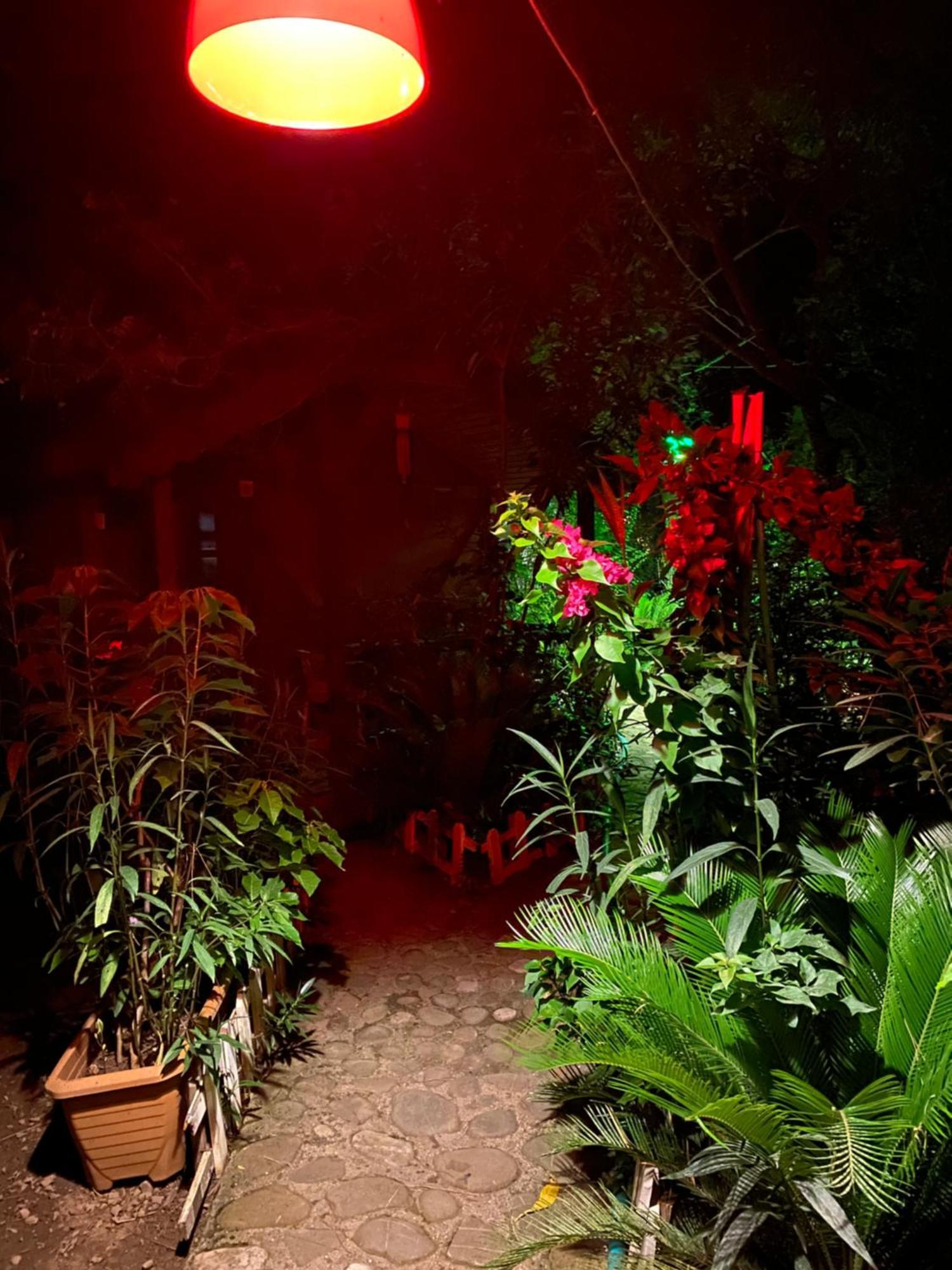 Canario Bungalows Çıralı Luaran gambar