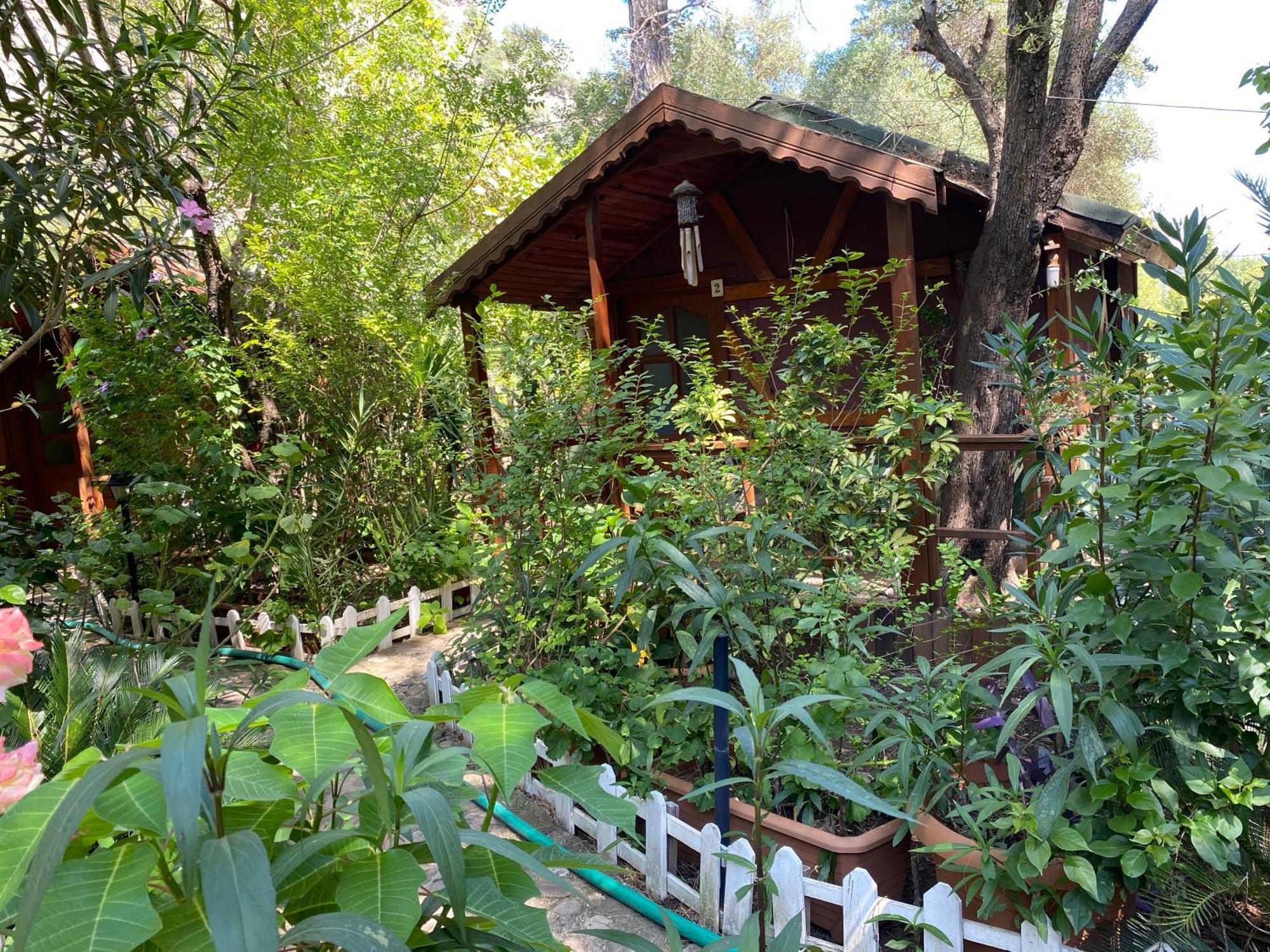 Canario Bungalows Çıralı Luaran gambar