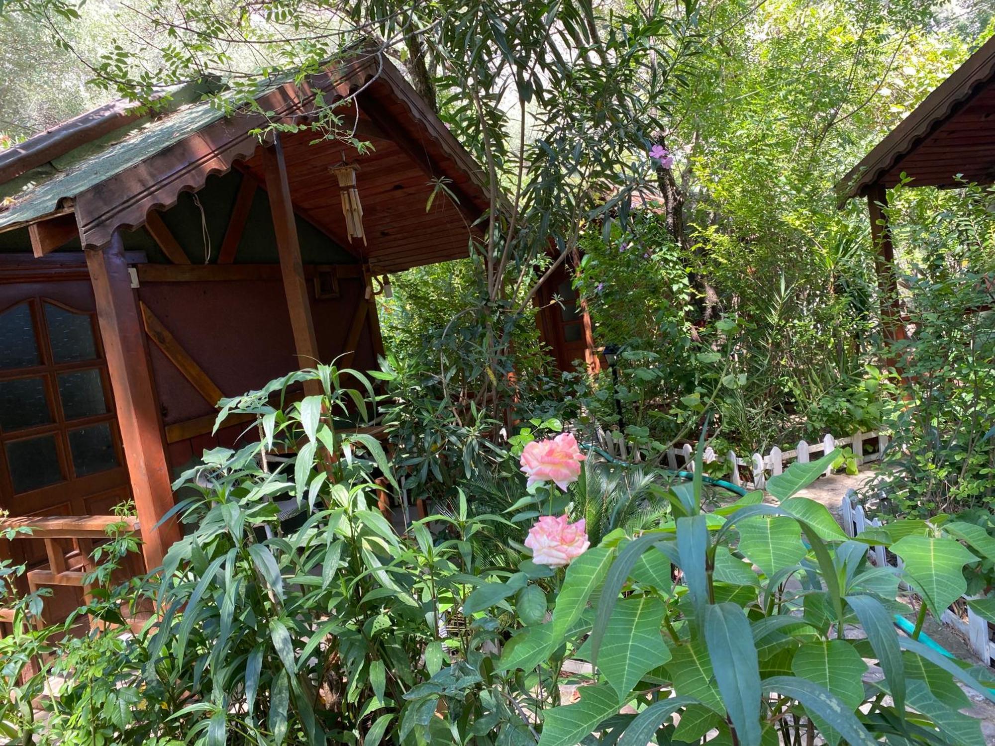 Canario Bungalows Çıralı Luaran gambar