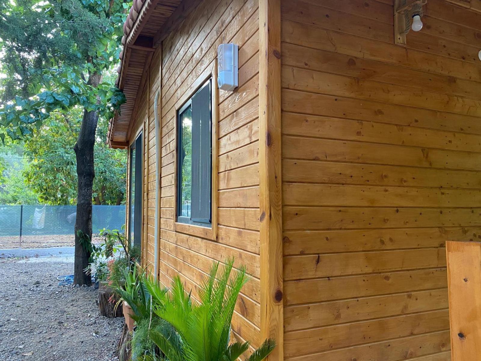 Canario Bungalows Çıralı Luaran gambar
