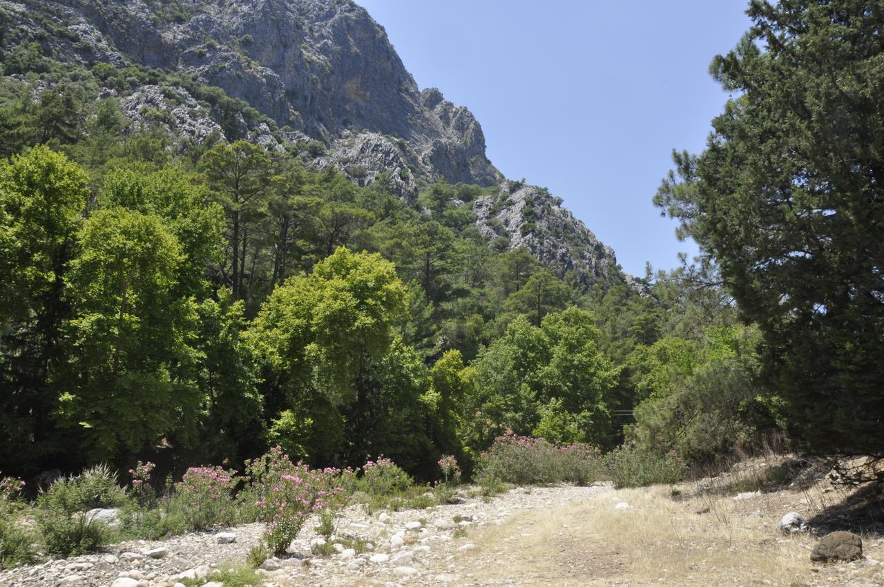 Canario Bungalows Çıralı Luaran gambar